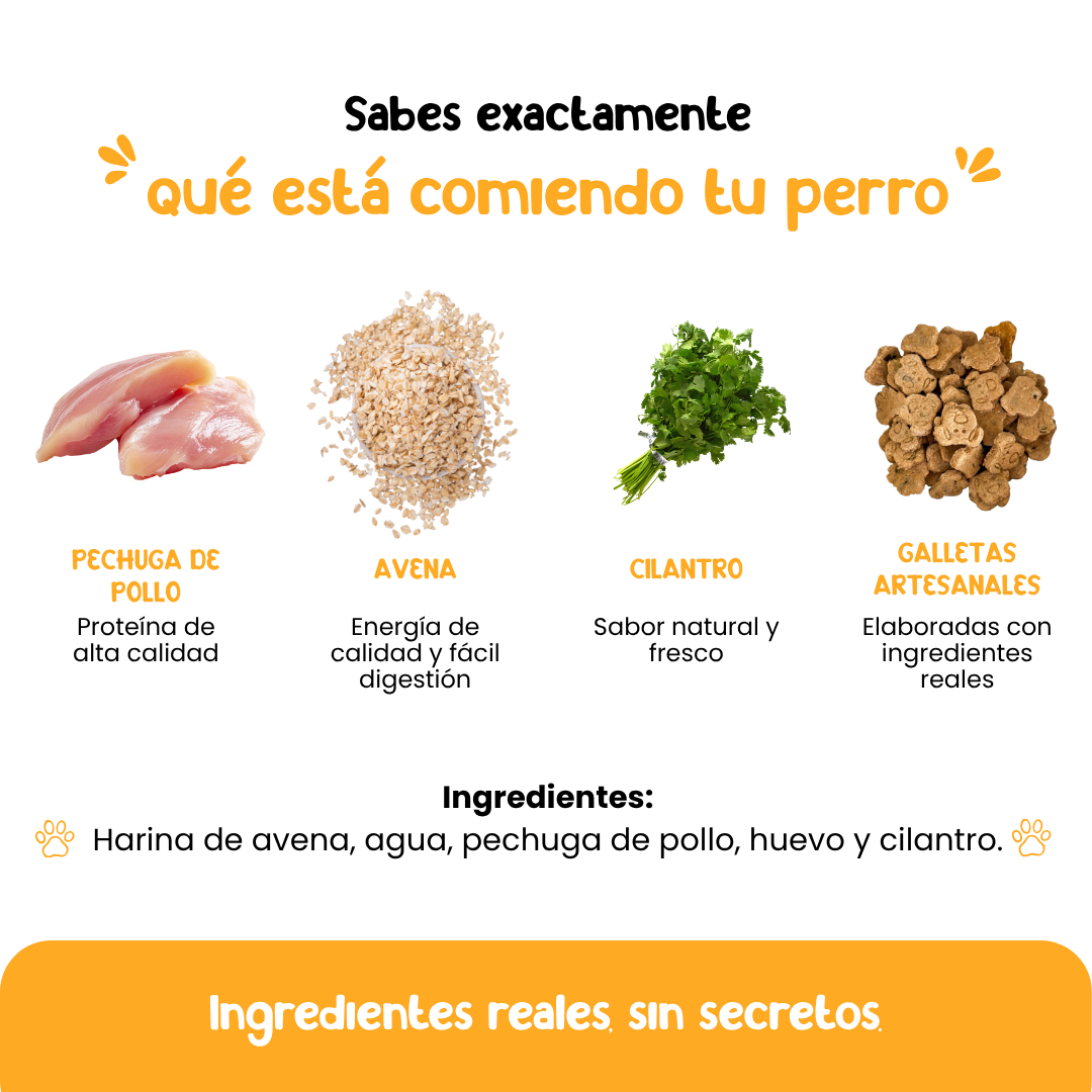 Galletas Pollo & cilantro