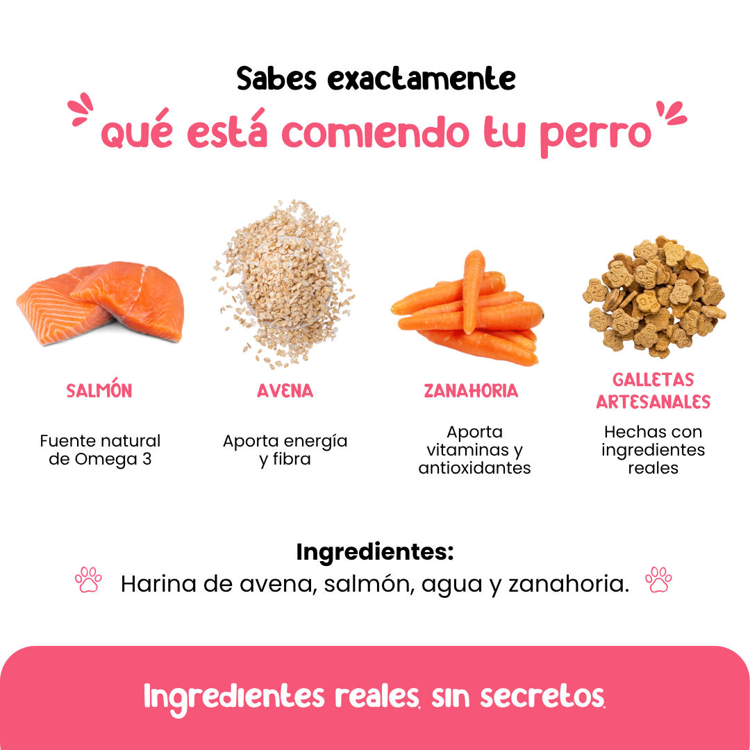 Galletas Salmón & zanahoria