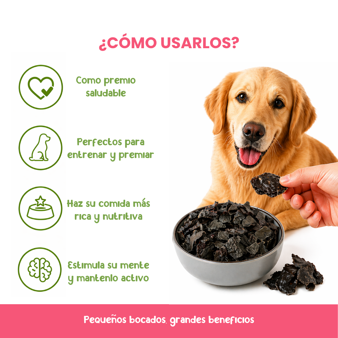 Champies Hígado de Res