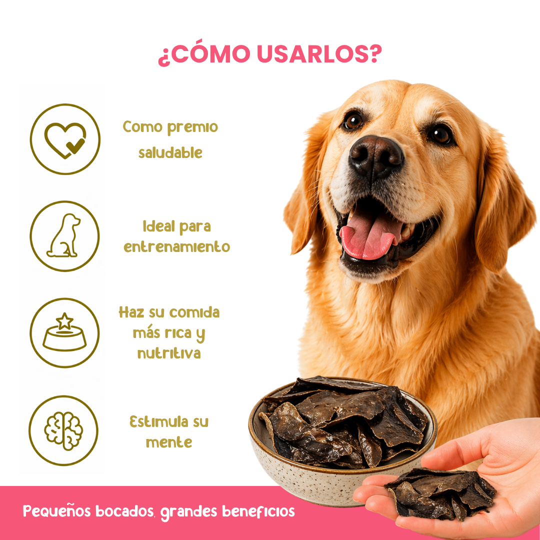 Champies Hígado de pollo