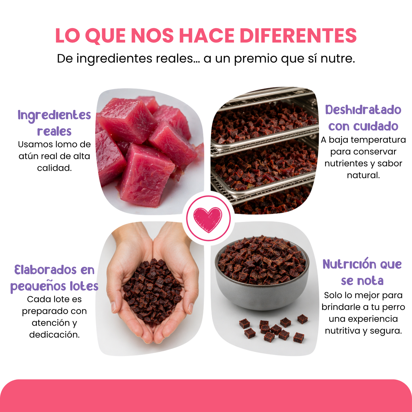 Champies Atún