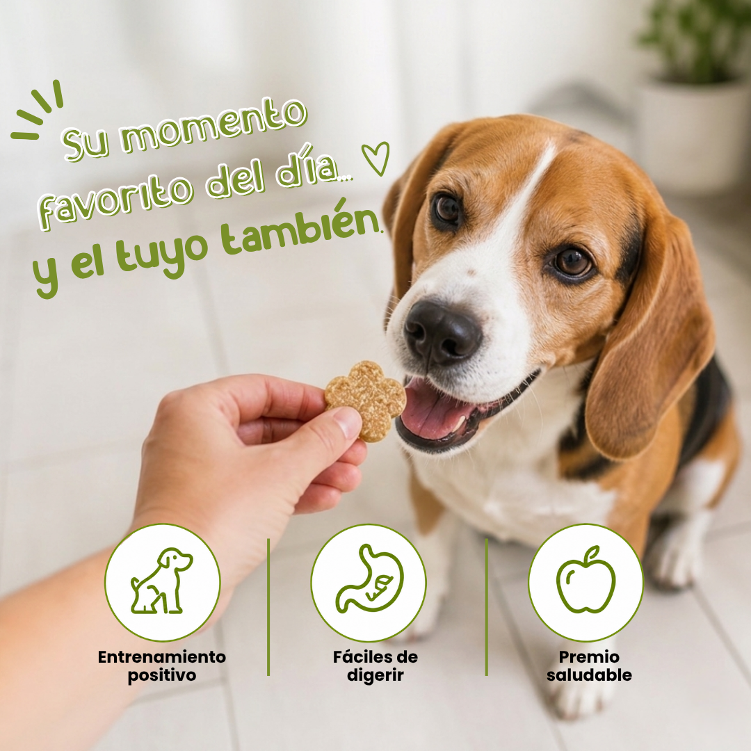Galletas Manzana & canela